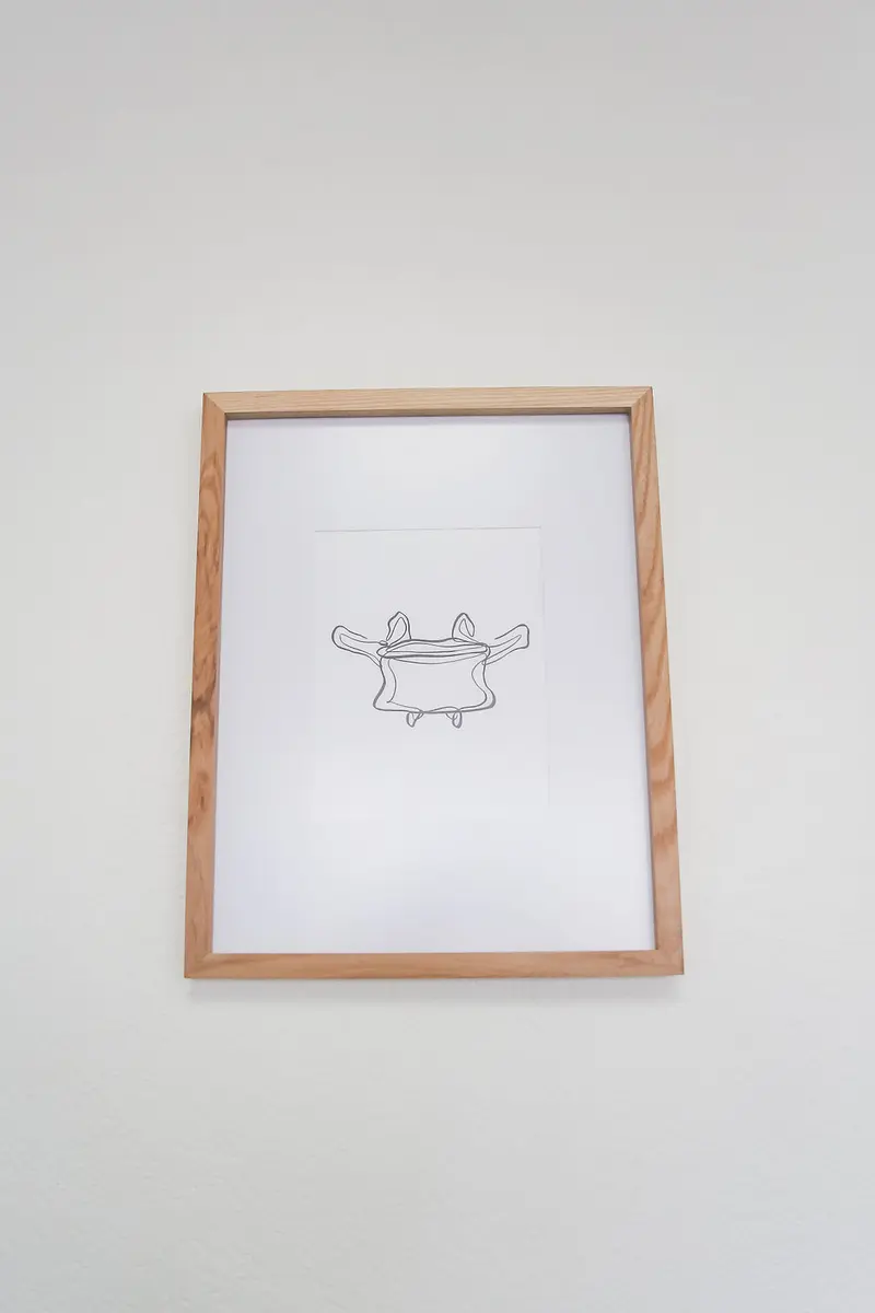 Apex Posture and Sport Chiropractic Clinic Tempe